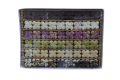 IMG_3231-removebg-preview.png