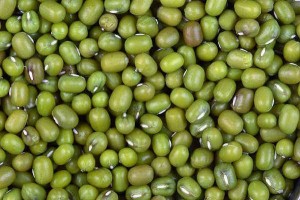 Fasola Mung 450g