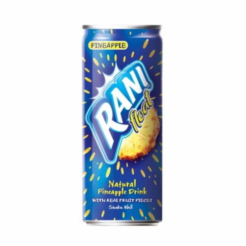 23244-ranipineapplefloat.jpg