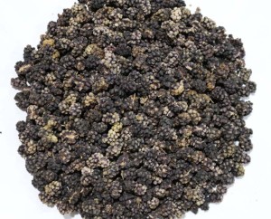 Czarna Morwa 100g